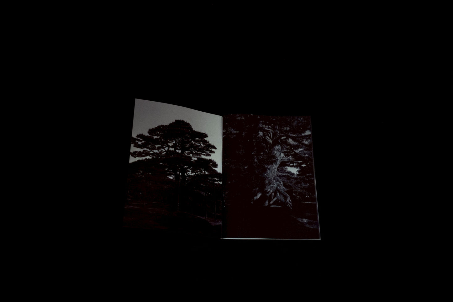 zine 「Me」| MARUKI NAITO