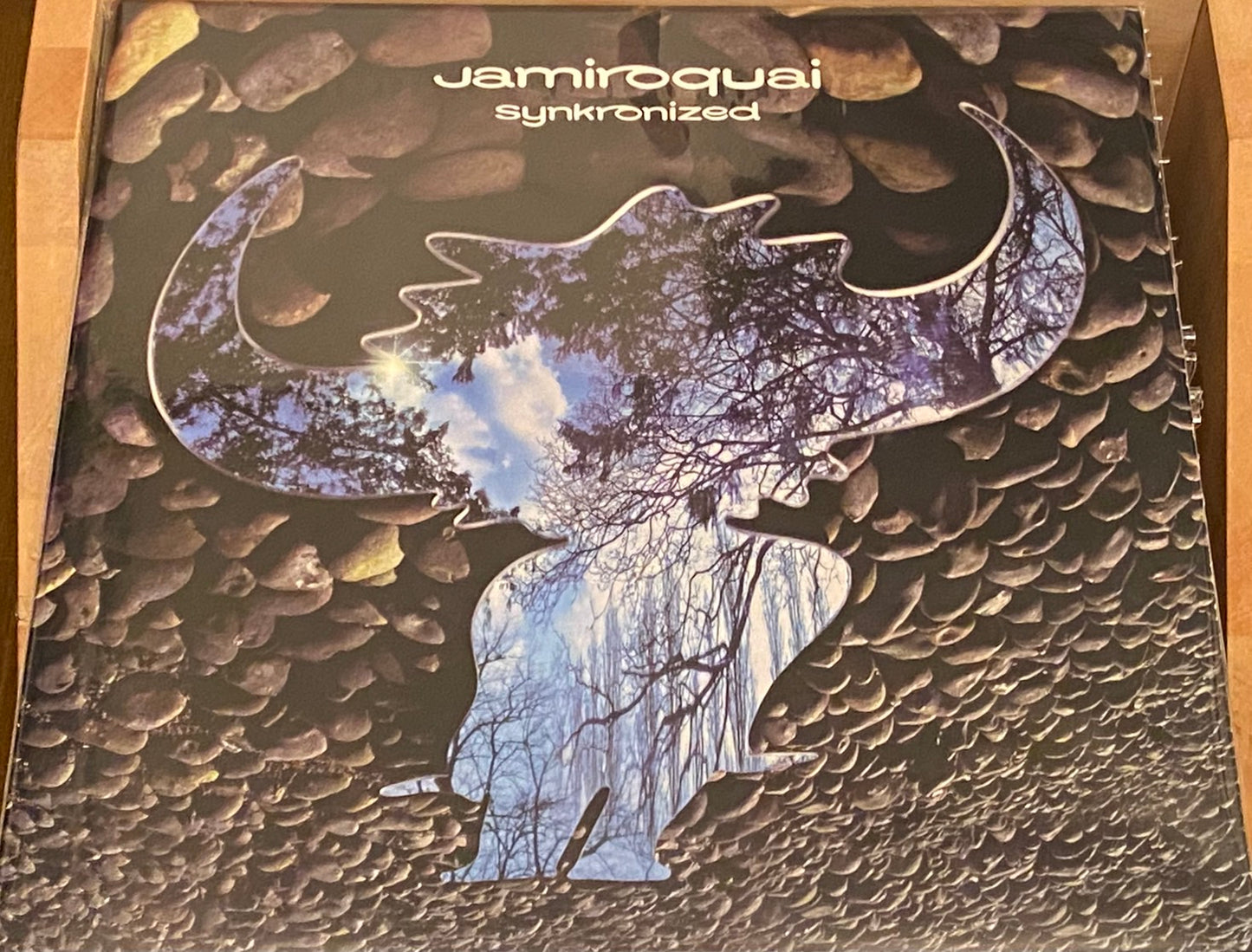 Jamiroquai 『Synkronized』 USオリジナル盤 LP O66973 | SEVEN TAILS RECORDS